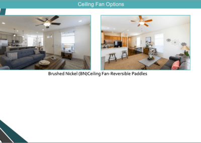 Ceiling Fan Options